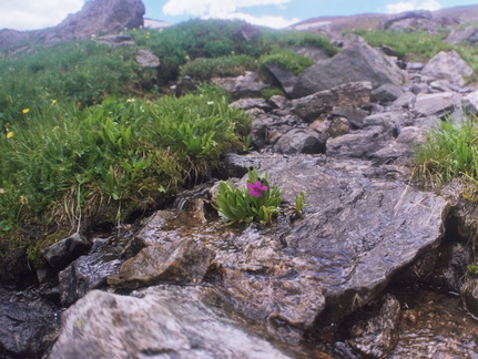 Continental Divide, Parika Lake